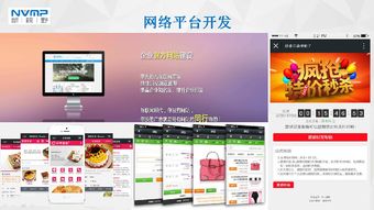 瓊海市互聯網協會會員風采 海南新視野企業營銷策劃服務有限公司——深耕本土，智創未來